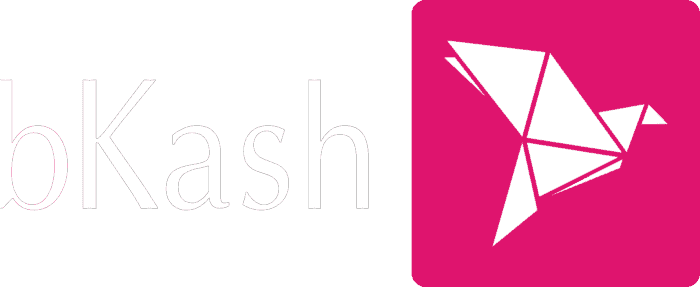 BKash Logo 700x287 2